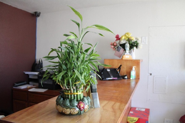 Flagstaff Motel Main image