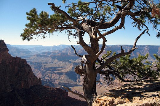 Tour image 3