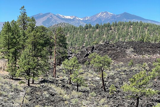 Tour image 5
